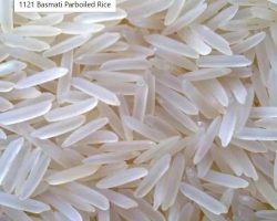 pakistan-1121-basmati-parboiled-rice-779392153545